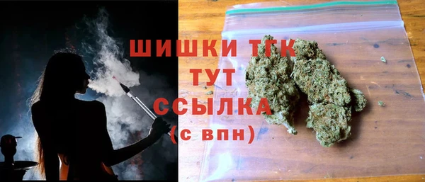 дурь Ладушкин