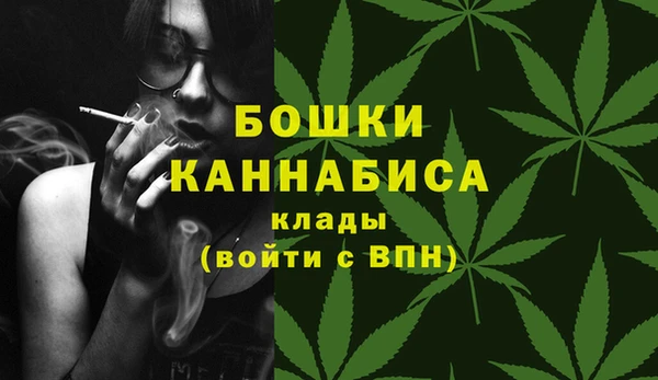 дурь Ладушкин