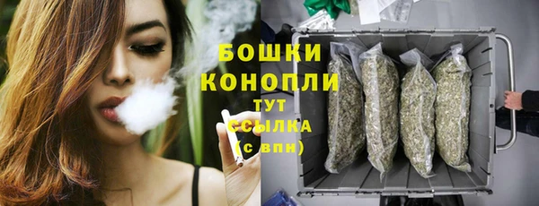 винт Липки