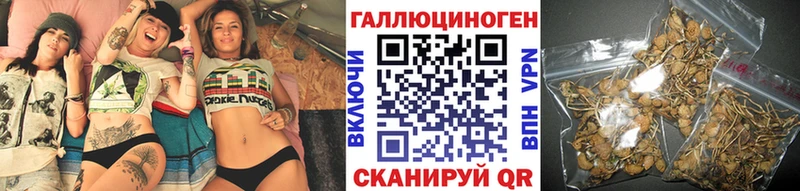 купить наркоту  Березники  Псилоцибиновые грибы Cubensis 