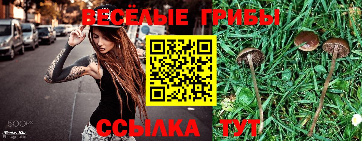 Гашиш Березники
